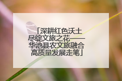 深耕红色沃土 尽绽文旅之花——华池县农文旅融合高质量发展走笔